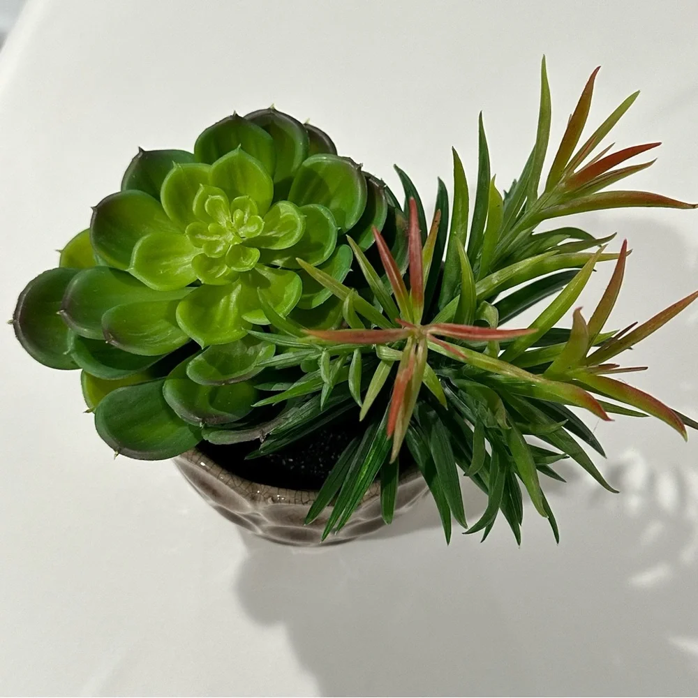 Ceramic Potted Faux Succulents Artificial Plant Decor